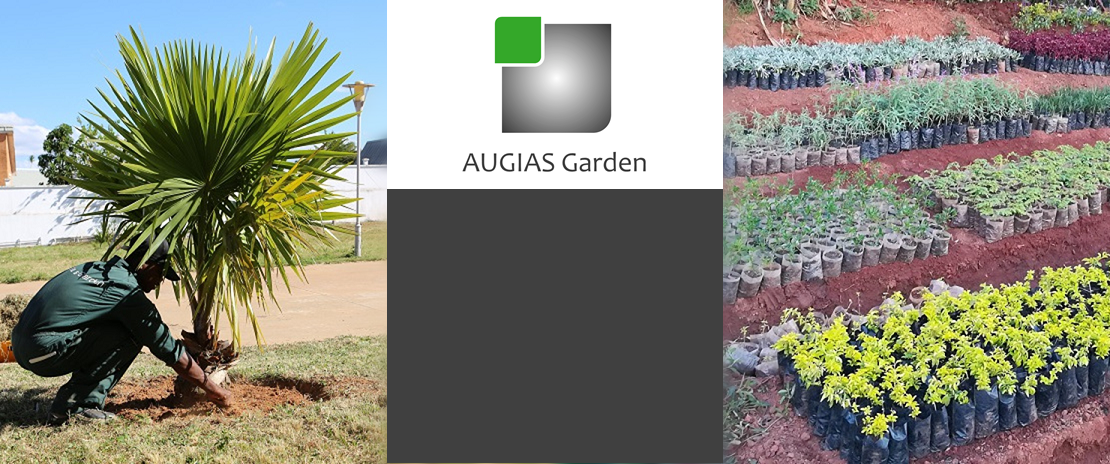 AUGIAS Garden